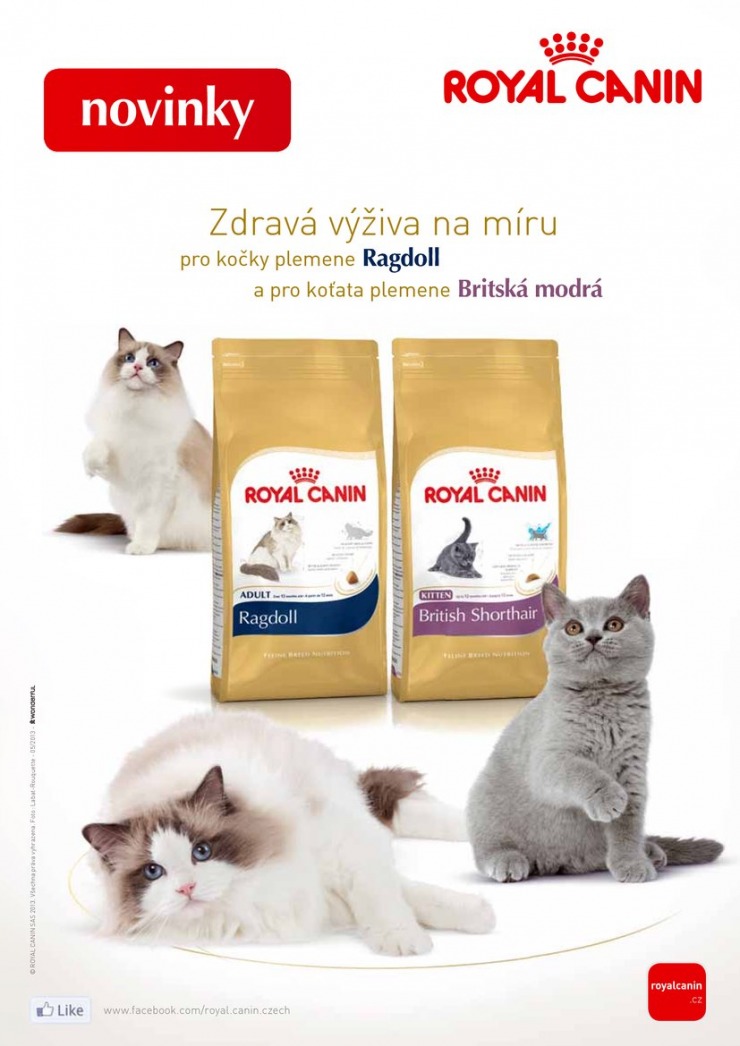 leták Pet Center Akční leták od 1.10.2013 strana 1 leták Pet Center Akční leták od 1.10.2013 strana 1